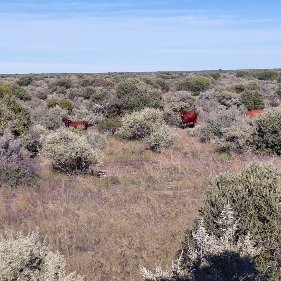 Commercial Property for Sale in Barkly West Rural Northern Cape